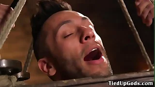 Suspended bdsm sub caged for blarney tugging